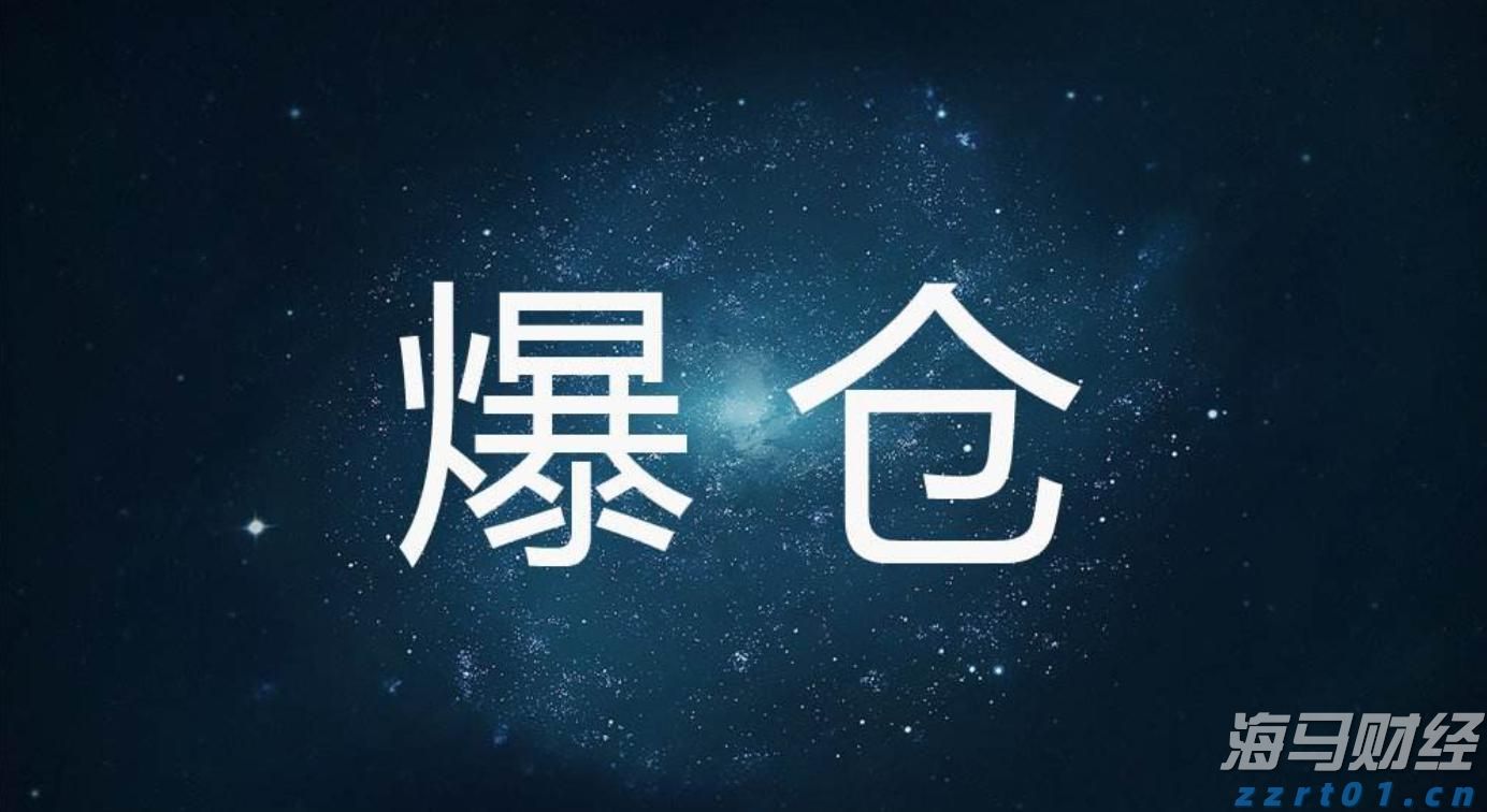 八百年山场韵 一脉铂悦情