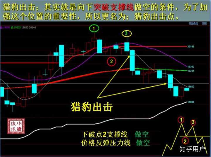 世运会赛程过半，小众项目如何走进大众视野？